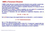 NMR-Dinamico - Università degli Studi di Bari