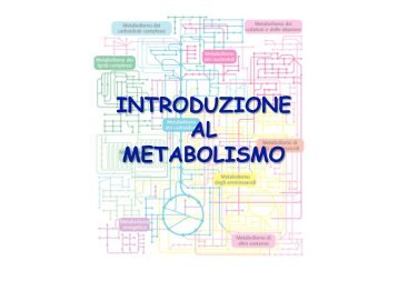13-introduzione al metabolismo - biochimica