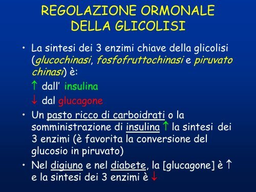 lezione 13 biochimica - Omero