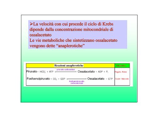 3-CICLO DI KREBS-b - E-learning