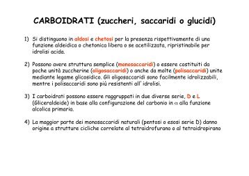 CARBOIDRATI (zuccheri, saccaridi o glucidi)