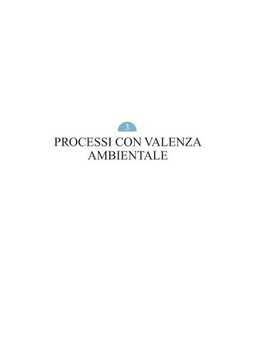 PROCESSI CON VALENZA AMBIENTALE - Treccani