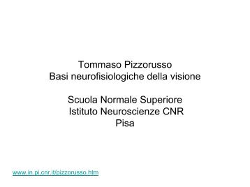 la retina.pdf - Istituto di Neuroscienze CNR