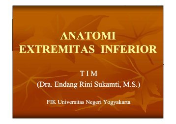 Anatomi-EXTREMITAS INFERIOR.pdf - Staff UNY - Universitas ...