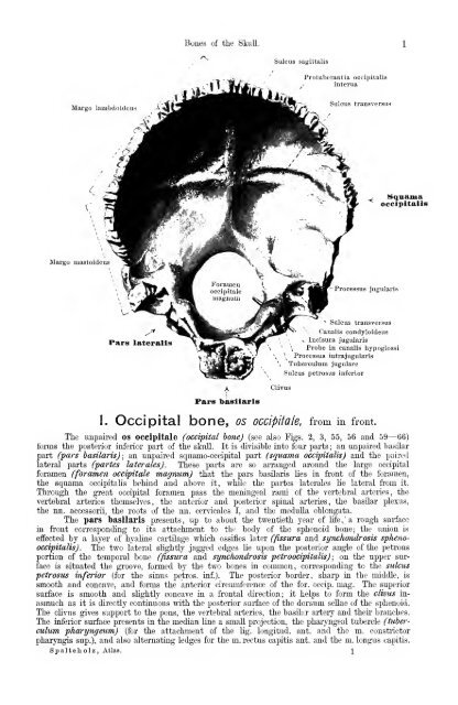 Hand atlas of human anatomy - EducationNest