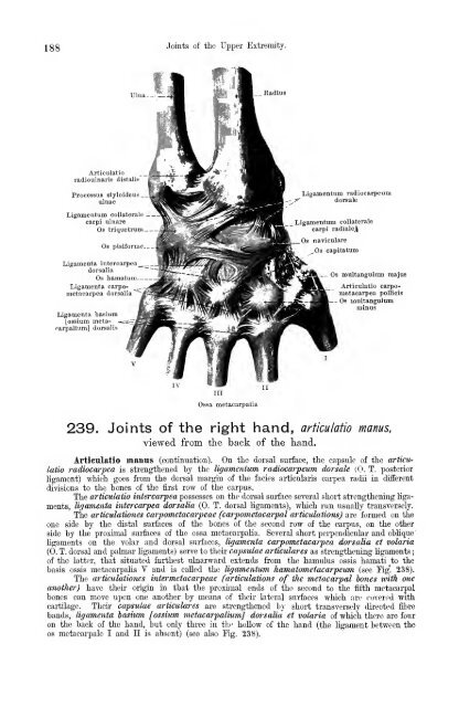 Hand atlas of human anatomy - EducationNest