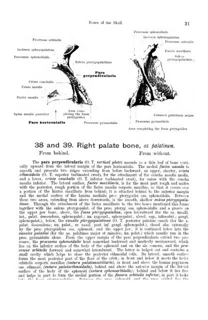 Hand atlas of human anatomy - EducationNest