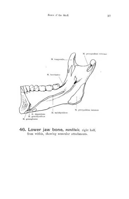 Hand atlas of human anatomy - EducationNest