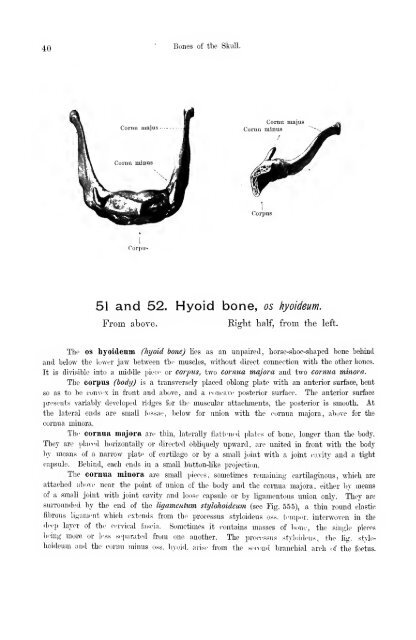 Hand atlas of human anatomy - EducationNest