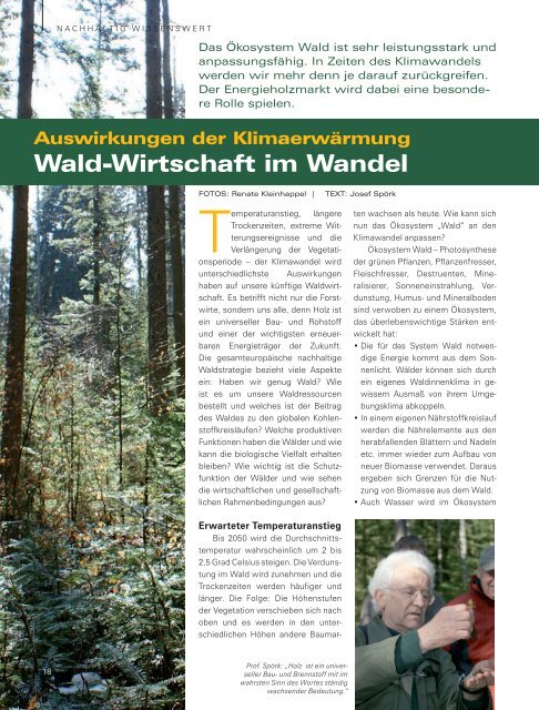 KWB wird „Die Biomasseheizung“ - Schiller Brand Company GmbH