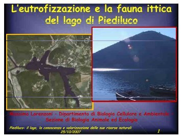 L'eutrofizzazione e la fauna ittica del lago di Piediluco - Università di ...