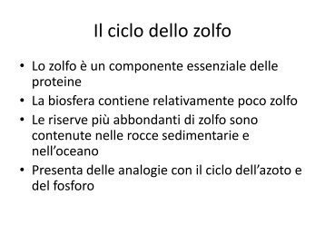 14. ciclo dello zolfo e del fosforo