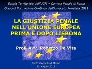 Prof Avv Roberto De Vita - Camera Penale di Roma