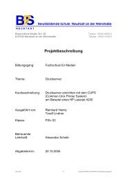 Projektbeschreibung - Berufsbildende Schule Neustadt an der ...