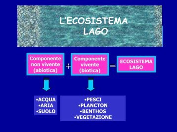 gli ecosistemi lacustri - Provincia di Terni