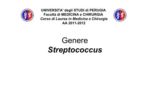 07.genere streptococcus - Facoltà di Medicina e Chirurgia