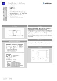 NGF 31 - Schleicher Electronic