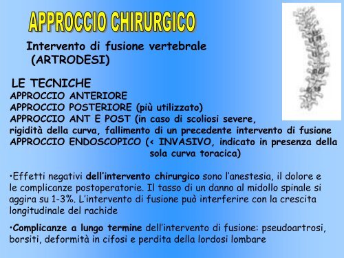 della CURVA - Università degli Studi di Urbino