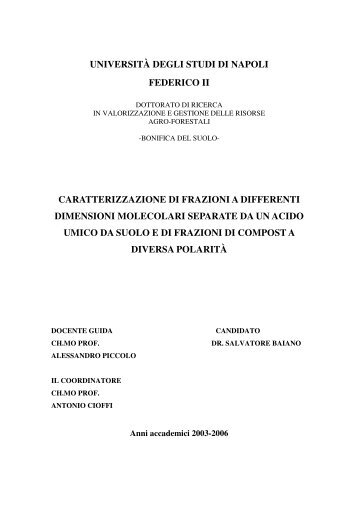 caratterizzazione - FedOA - Università degli Studi di Napoli Federico II