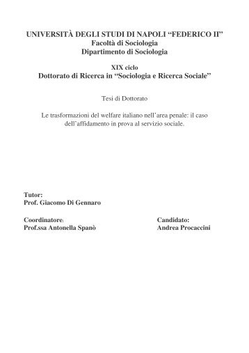 tesi finale PROCACCINI - FedOA - Università degli Studi di Napoli ...