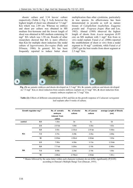 The Influence Of Priming Two Cucumber Cultivar Seeds