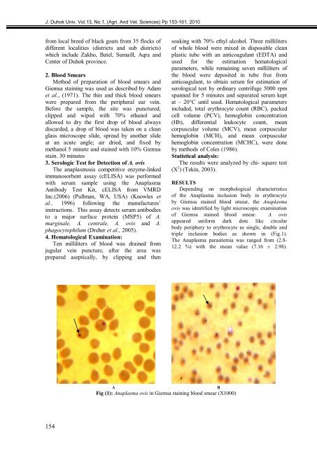 The Influence Of Priming Two Cucumber Cultivar Seeds