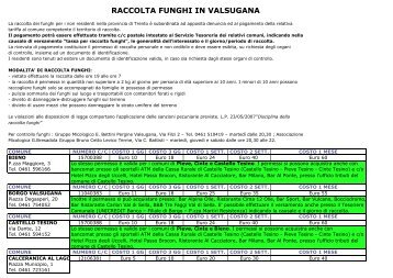 Raccolta funghi in Valsugana e Lagorai