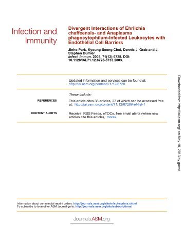 Divergent Interactions of Ehrlichia chaffeensis - Infection and ...