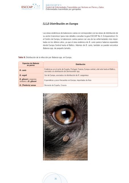 Control de enfermedades transmitidas por Vectores en perros y Gatos