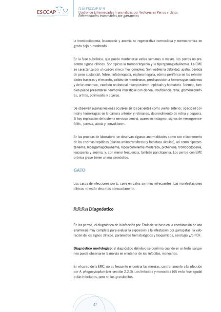 Control de enfermedades transmitidas por Vectores en perros y Gatos