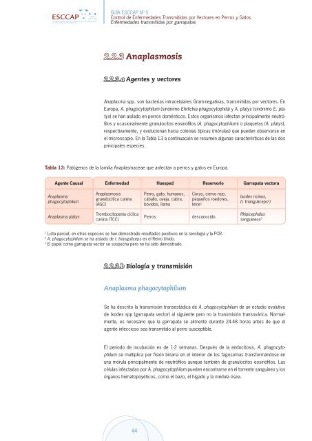 Control de enfermedades transmitidas por Vectores en perros y Gatos