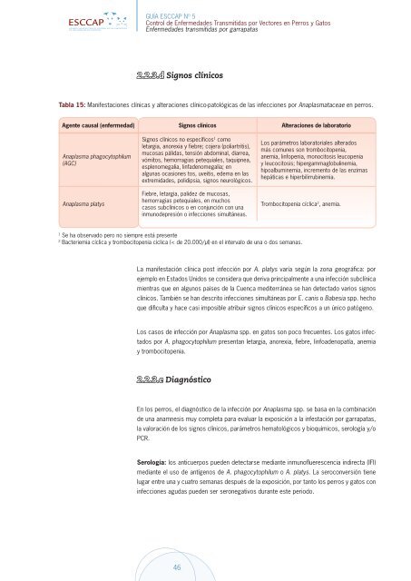 Control de enfermedades transmitidas por Vectores en perros y Gatos