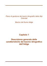 01 Adige 30.06.09.pdf - Alpi Orientali