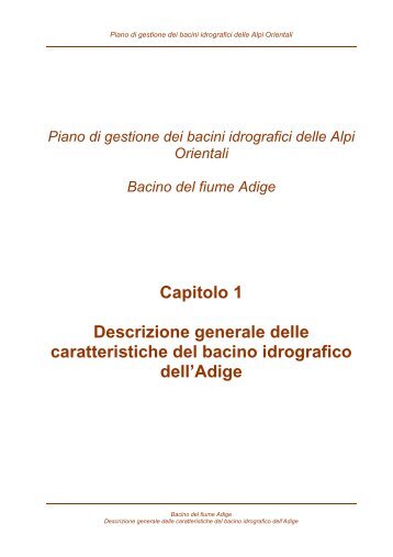 Capitolo 1 Descrizione generale delle caratteristiche ... - Alpi Orientali