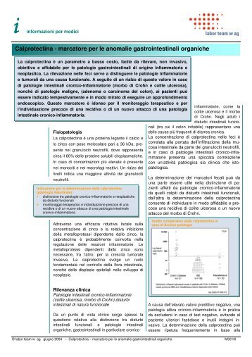 Calprotectina - marcatore per le anomalie ... - Labor Team W