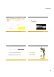 lezione infermieri Rimini 2011.pdf - Infermieristica Rimini