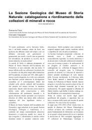 catalogazione e riordinamento delle collezioni di minerali e rocce