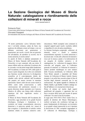 catalogazione e riordinamento delle collezioni di minerali e rocce