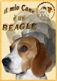 Il mio cane è un Beagle - BeagleMania