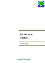 Bilancio ordinario e consolidato 2008 - Consorzio Agrario delle ...