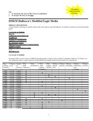 DMEM Dulbecco's Modified Eagle Media - Invitrogen