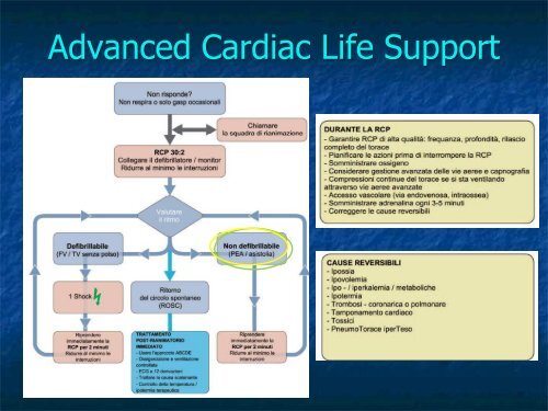Advanced Cardiac Life Support Parte III: Le Emergenze Bradiaritmiche