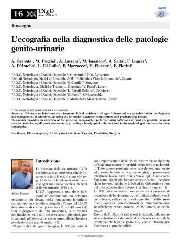 L’ecografia nella diagnostica delle patologie genito-urinarie
