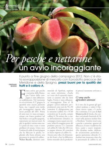 Per pesche e nettarine un avvio incoraggiante - Ermes Agricoltura