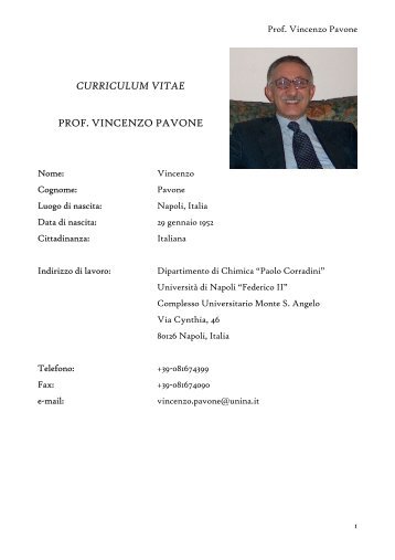 CURRICULUM VITAE PROF. VINCENZO PAVONE - Bioteknet