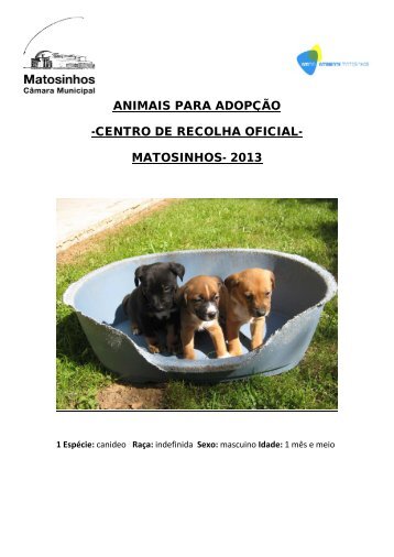 ANIMAIS PARA ADOPÇÃO -CENTRO DE RECOLHA OFICIAL- MATOSINHOS- 2013