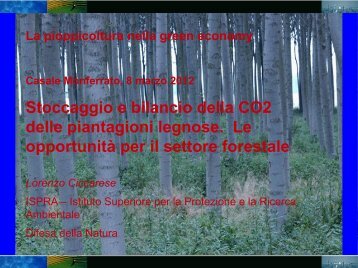 Stoccaggio e bilancio della CO2 delle piantagioni legnose. Le ...