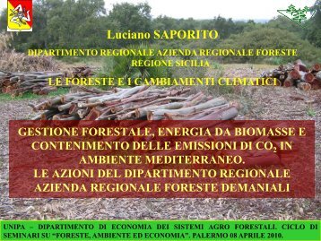 Le foreste e i cambiamenti climatici - Università di Palermo