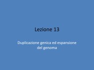 EM_Lezione 13.pdf