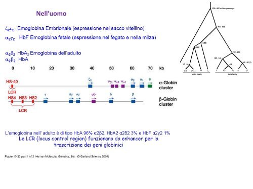 EM_Lezione 13.pdf